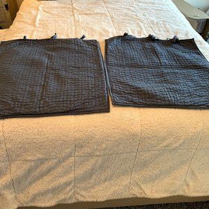 2 Pottery Barn Quilted Pattern (Front and Back) Euro Shams